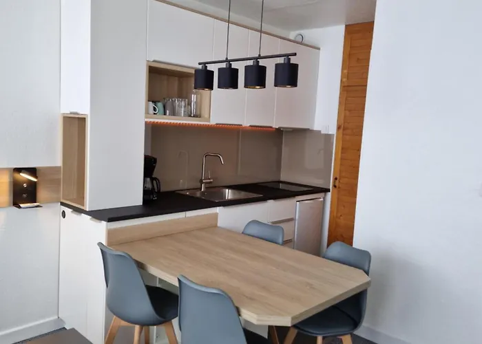 Moderne Pied Des Pistes 4 P La Pierre Saint-Martin